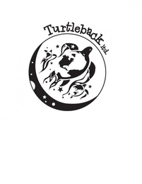 TURTLEBACK LTD. logo