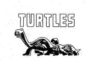 TURTLES logo