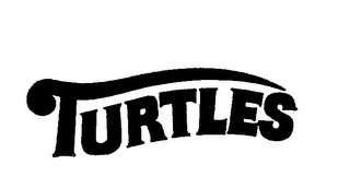 TURTLES logo