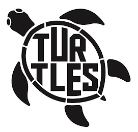 TURTLES logo