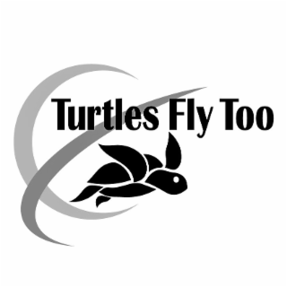 TURTLES FLY TOO logo