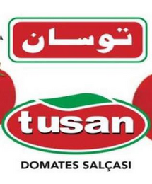 TUSAN DOMATES SALCASI logo