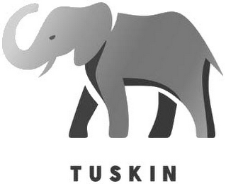 TUSKIN logo
