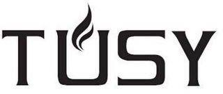 TUSY logo