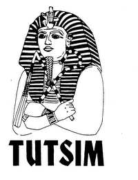 TUTSIM logo