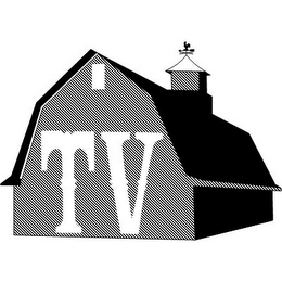 TV logo