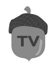 TV logo