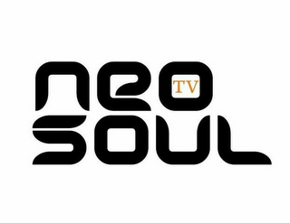 TV NEO SOUL logo