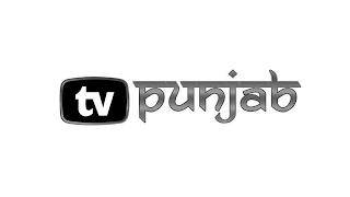 TV PUNJAB logo