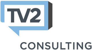 TV2 CONSULTING logo