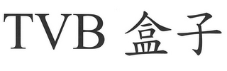 TVB logo