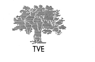 TVE logo