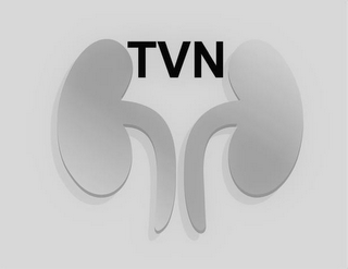 TVN logo