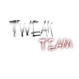 TWEAK TEAM logo