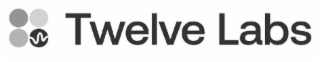 TWELVE LABS logo