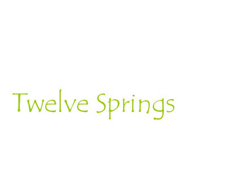 TWELVE SPRINGS logo