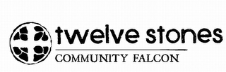 TWELVE STONES COMMUNITY FALCON logo