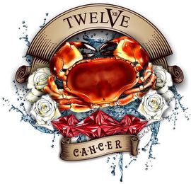 TWELVE XII CANCER PAUL MICHALSKI logo