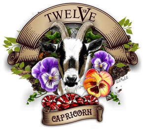 TWELVE XII CAPRICORN PAUL MICHALSKI logo