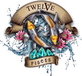 TWELVE XII PISCES PAUL MICHALSKI logo