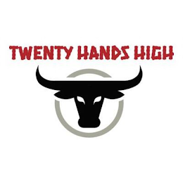 TWENTY HANDS HIGH logo