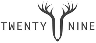 TWENTY NINE logo