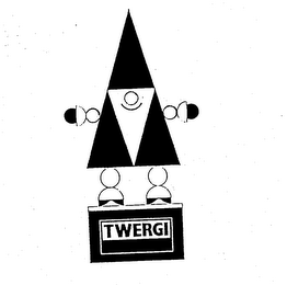 TWERGI logo