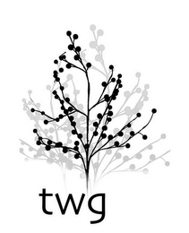 TWG logo