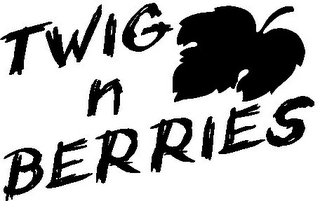TWIG N BERRIES logo