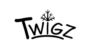 TWIGZ logo
