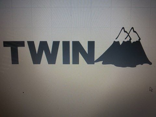TWIN logo
