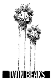 TWIN BEAKS logo