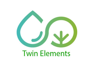 TWIN ELEMENTS logo