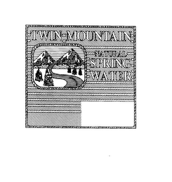 TWIN MOUNTAIN NATURAL SPRING WATER logo