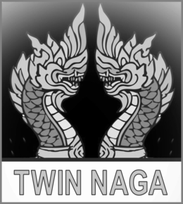TWIN NAGA logo