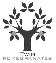 TWIN POMEGRANATES logo