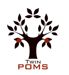 TWIN POMS logo