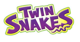 TWIN SNAKES logo