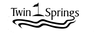 TWIN SPRING logo