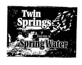 TWIN SPRINGS PREMIUM SPRING WATER logo