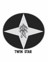 TWIN STAR logo
