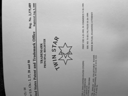 TWIN STAR logo