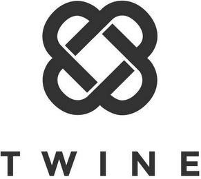 TWINE logo
