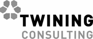 TWINING CONSULTING logo