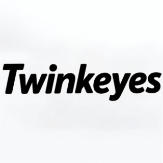 TWINKEYES logo