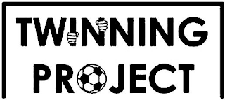 TWINNING PROJECT logo