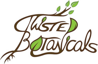 TWISTED BOTANICALS logo