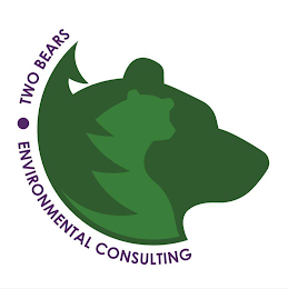 TWO BEARS ENVIRONMENTAL CONSULTING logo