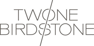 TWO BIRDS ONE STONE logo