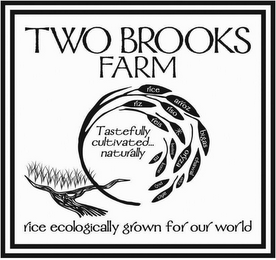 TWO BROOKS FARM TASTEFULLY CULTIVATED... NATURALLY RICE RIZ ARROZ RISO REIS BIGAS MI BERENJ ORYZA CHAWAL KOME PYZI OREZ ARICI RICE ECOLOGICALLY GROWN FOR OUR WORLD logo